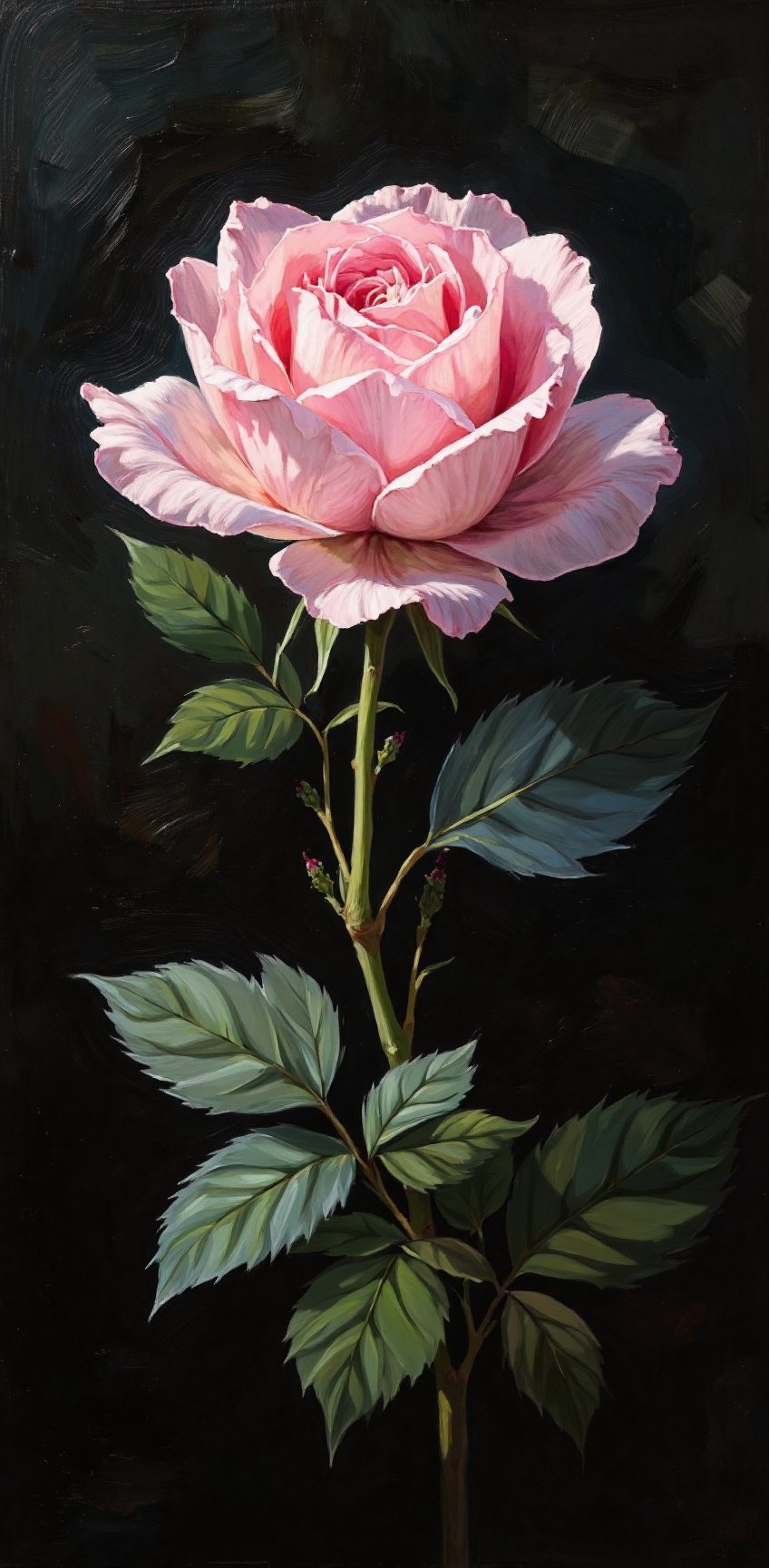 An eye-level painting of a light pink rose with a dark backdrop. The rose is in the center of the frame,  with its petals...