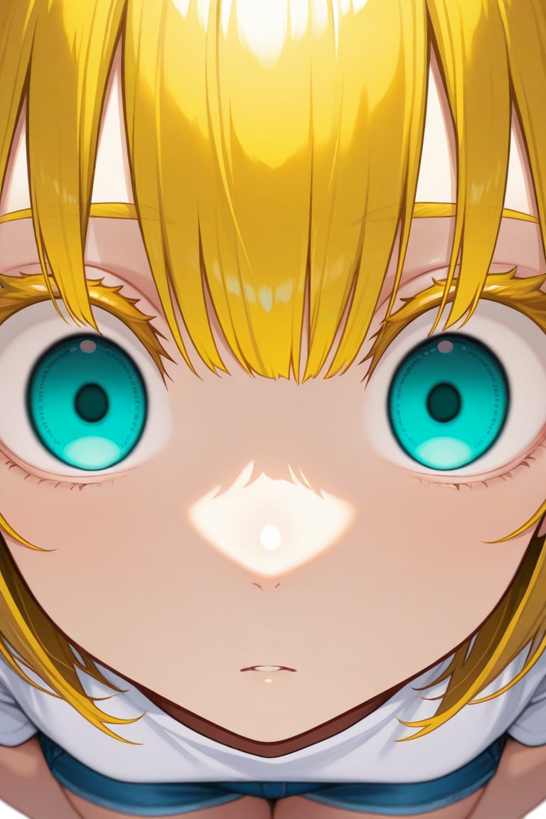 (((((Close-up))))),  Fisheye,  Eye focus by 幽鬼処刑人２年目 on Tensor.Art