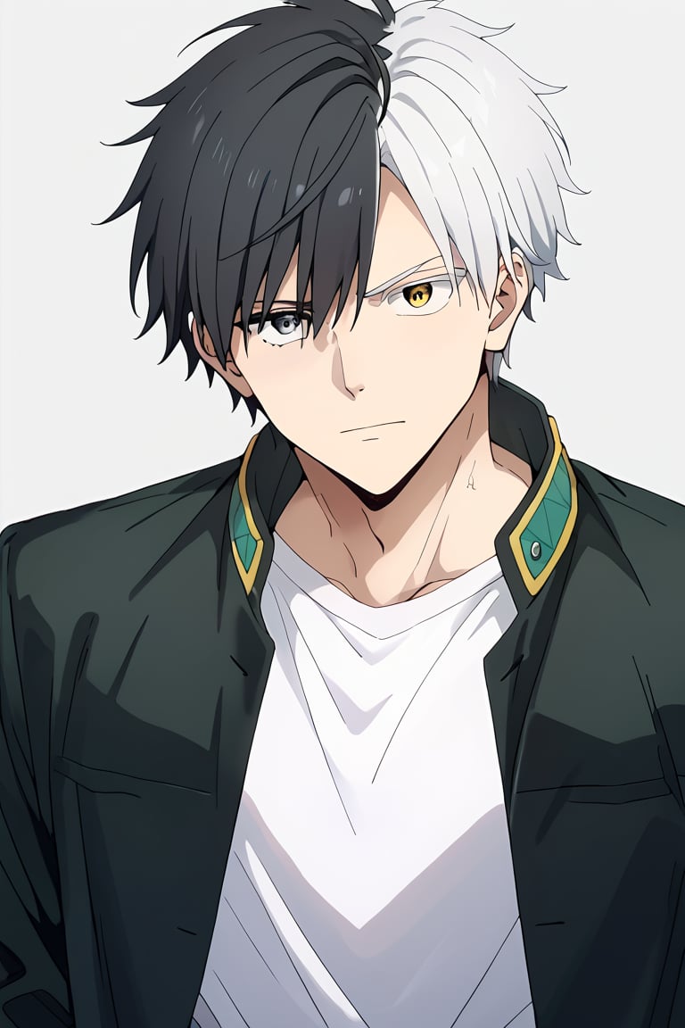 score_9, score_8_up, score_7_up, source_anime, 1boy, male focus, solo, mature male, BREAK, Sakura_Haruka, split-color hair,black hair, white hair, heterochromia, grey eyes, yellow eyes, BREAK, white shirt, open black jacket, looking at viewer, simple background