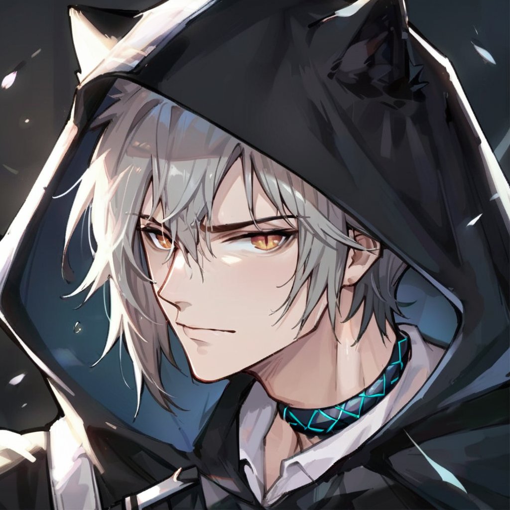 score_9, score_8_up, score_7_up, score_6_up, score_5_up, score_4_up, source_anime, BREAK, 1boy, male focus, looking at viewer, close up,,phantom_arknights,cat ears,grey hair,hood up,black cape,black jacket,