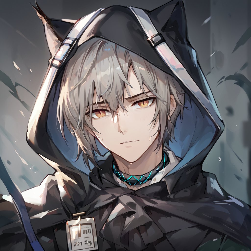 score_9, score_8_up, score_7_up, score_6_up, score_5_up, score_4_up, source_anime, BREAK, 1boy, male focus, looking at viewer, close up,,phantom_arknights,cat ears,grey hair,hood up,black cape,black jacket,