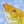 Fish788