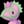 KecleonShiny