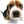 ElPerro