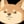 Koki 