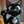 Nacho the Kat