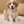 User_54321