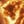 Burning Tiger