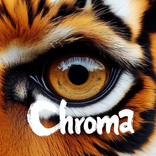 Chroma-V48-DC-FP8-Scaled Hybrid  by Narugoku321 on Tensor.Art