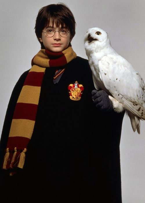 Harry Potter 1 by long20014 on Tensor.Art