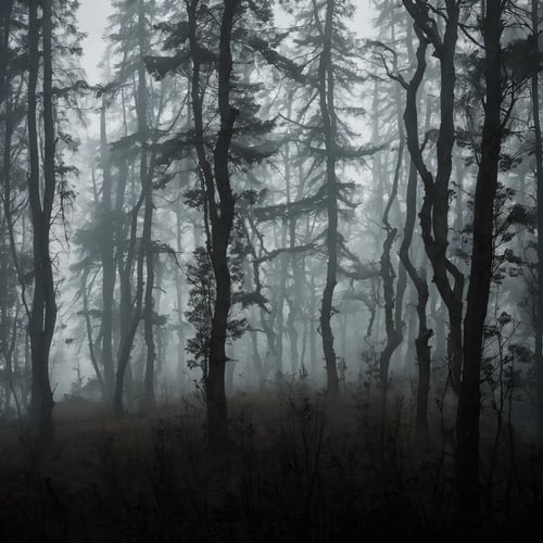 Dark gloomy forest of horror and death by Zmay on Tensor.Art