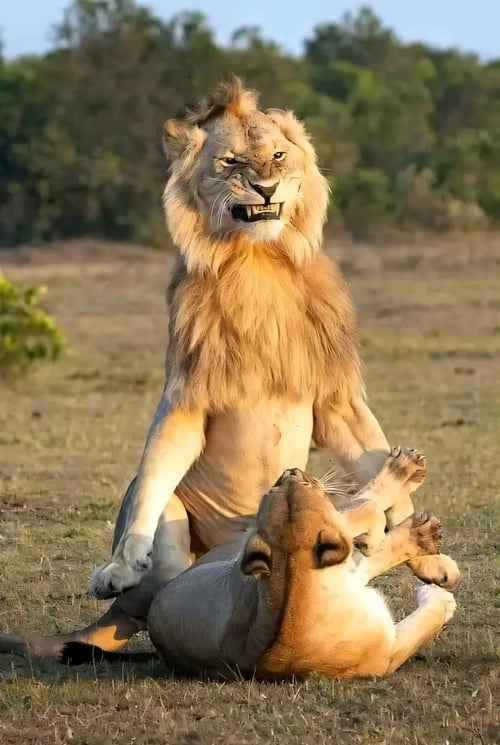 Bd sm by youyu on Tensor.Art