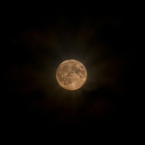 Better Dark Tunes Flux by Rebellion A.I. on Tensor.Art