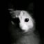 testingpj by user_629249074624784272 on Tensor.Art