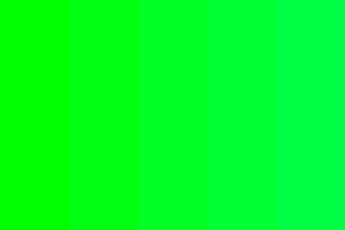 Fcsplsh by user_861721098708860134 on Tensor.Art