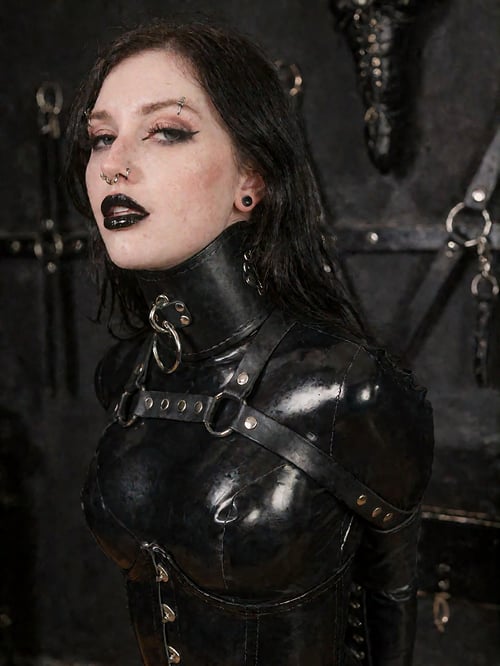 [F1/ZIT/F2K/K2]Armbinder𓀏 by user_z on Tensor.Art