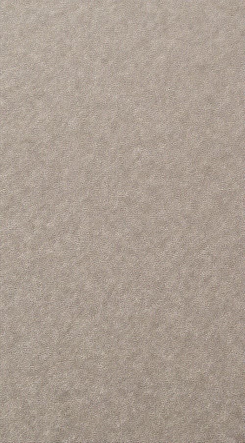 2-TRP Carpt Texture by user_781168785213302375 on Tensor.Art