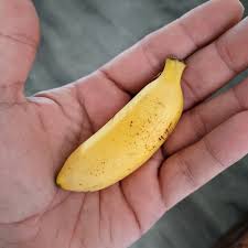 Woman with small banana by BD_Deep on Tensor.Art