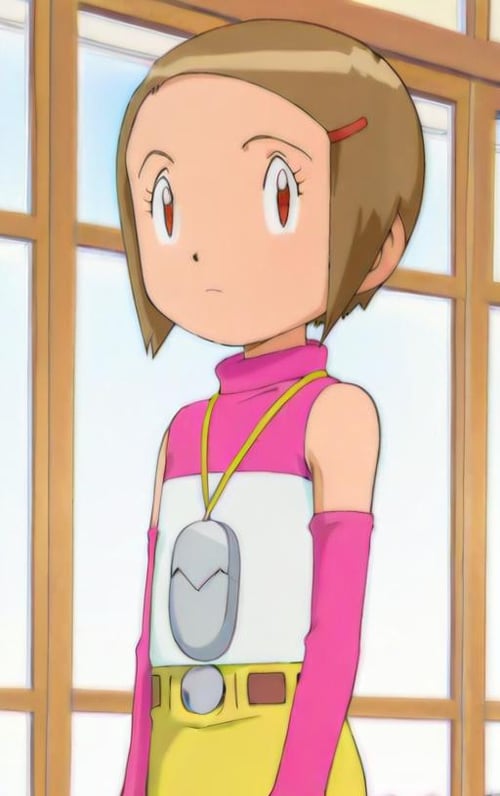 Hikari Yagami - Digimon Adventure 2 by NeoxiraN on Tensor.Art