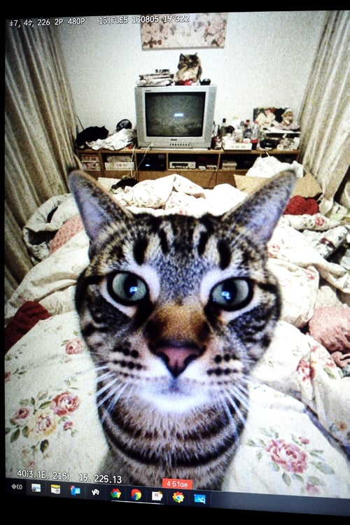 [LuisaP❤️] KREA2 - WEBCAM by Alex on Tensor.Art