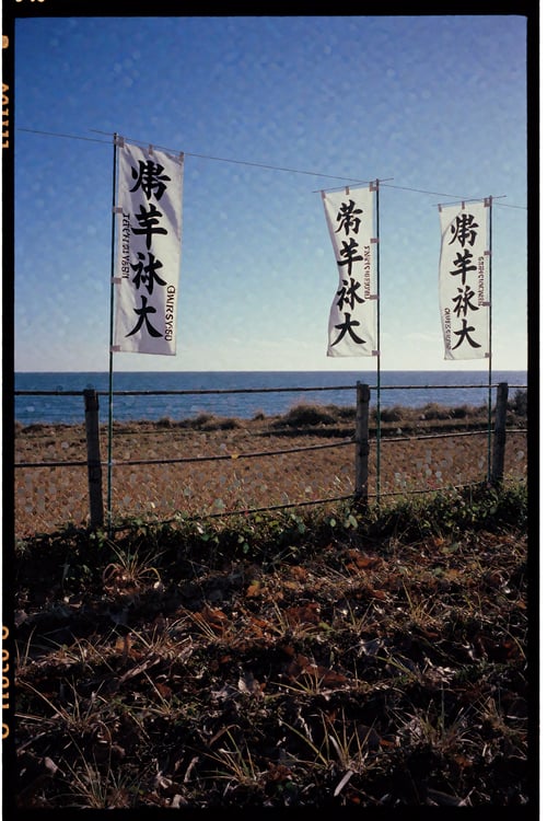Japan shot on Bessa R2M 35mm F2 Ultron (V4) by Alex on Tensor.Art