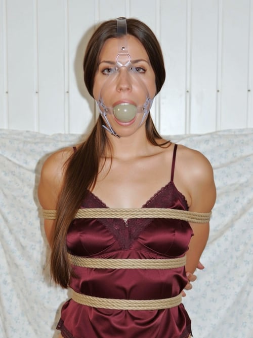 Harness Gag - F2K9B  by user_849963720225359369 on Tensor.Art
