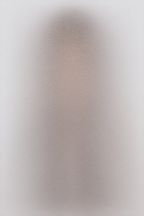 东方曜-Anima by dog on Tensor.Art