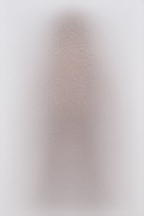 千驷_Anima by dog on Tensor.Art