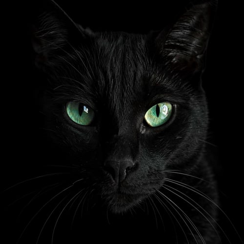 Better Dark Tunes Flux and flux 2 Klein 9b by Rebellion A.I. on Tensor.Art