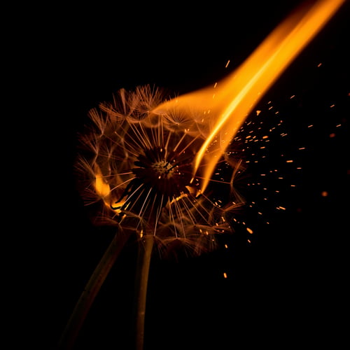 Better Dark Tunes Flux and flux 2 Klein 9b by Rebellion A.I. on Tensor.Art