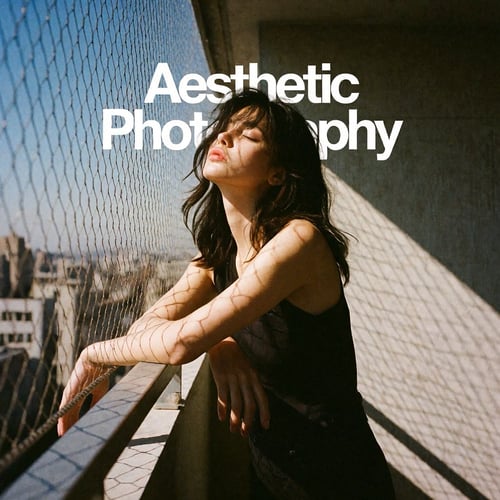 Aesthetic Photography Noise Enhancer by riiwa on Tensor.Art