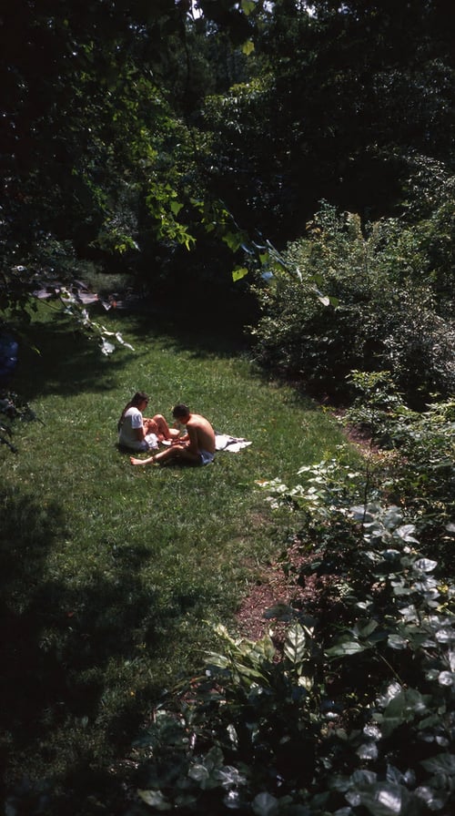 Kodachrome 64 | KREA 2 by patrik 🐈 on Tensor.Art