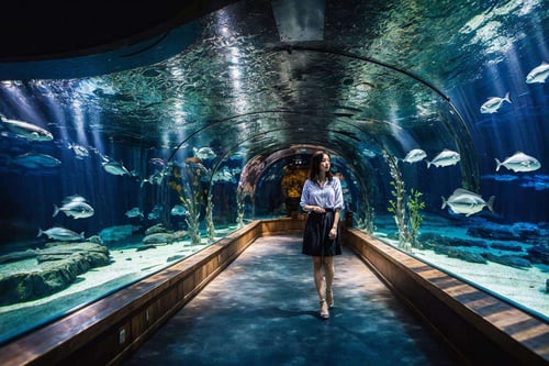 TQ - Aquarium | Background LoRA by TracQuoc on Tensor.Art