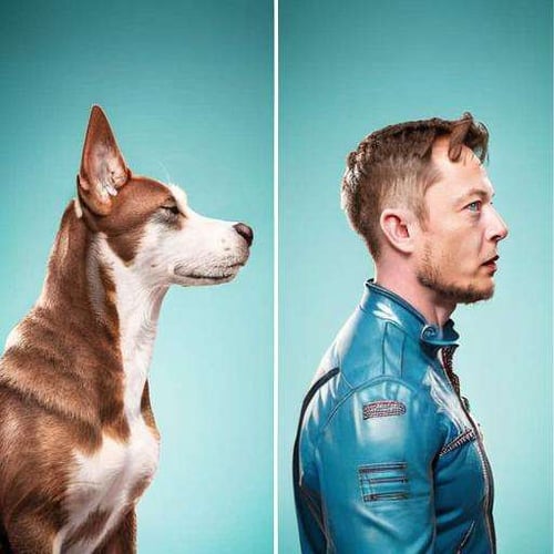 Like Owner, Like Pet - Comparison by NextMeal on Tensor.Art