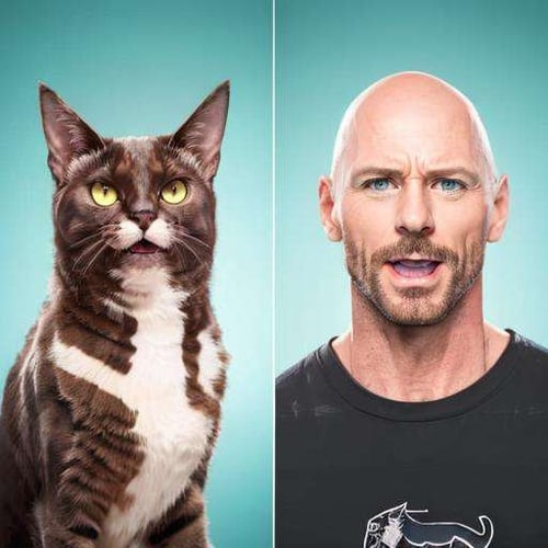 Like Owner, Like Pet - Comparison by NextMeal on Tensor.Art