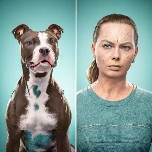 Like Owner, Like Pet - Comparison by NextMeal on Tensor.Art
