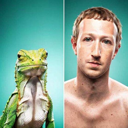 Like Owner, Like Pet - Comparison by NextMeal on Tensor.Art