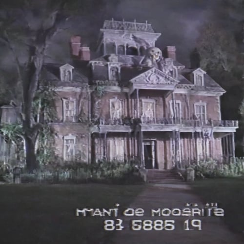 VHS SDXL by Bloody669 on Tensor.Art