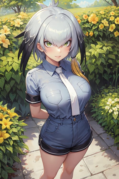 Shoebill (Kemono Friends) LORA by SetsuArts on Tensor.Art