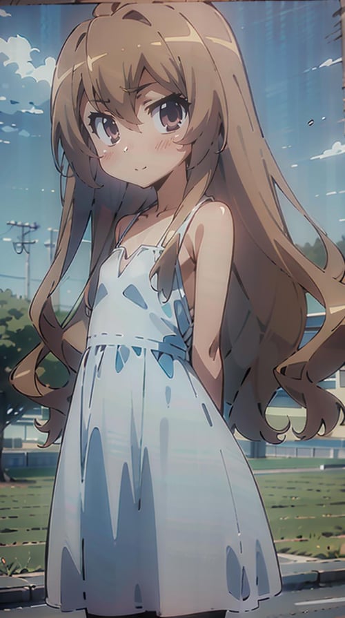 Aisaka Taiga|TORADORA! by Alchilia on Tensor.Art