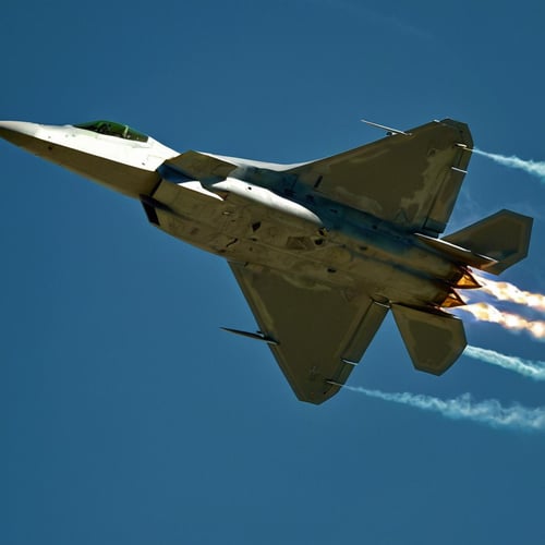 Lockheed Martin F-22 Raptor XL by EauDeNoire on Tensor.Art
