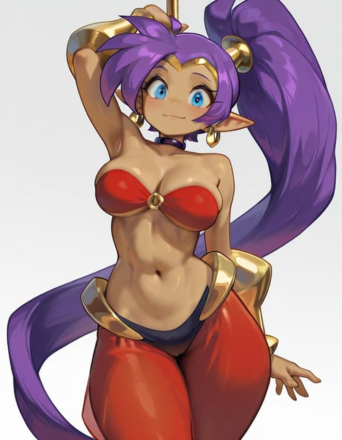 Shantae (illustrious SDXL LoRA) by Midnightcrawler on Tensor.Art