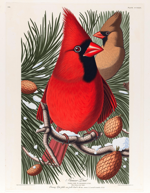 John James Audubon Style by Kappa_Neuro on Tensor.Art
