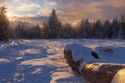Snowy Landscapes by billem on Tensor.Art
