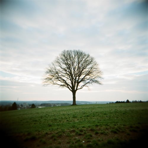 Holga Photography Style - [FLUX] by CtrlAltArt on Tensor.Art