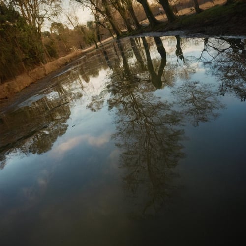 Rotated View (Dutch Angle) Cinematic Style XL + F1D by EauDeNoire on Tensor.Art