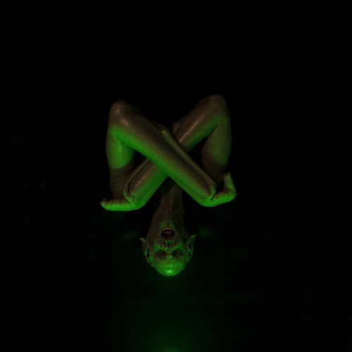 Dracula 1992 Bat Creature XL + F1D by EauDeNoire on Tensor.Art