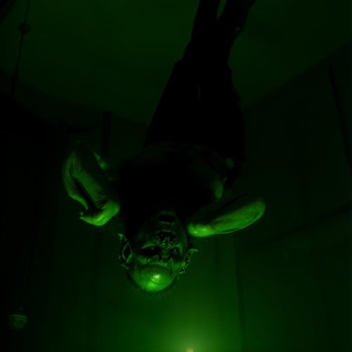 Dracula 1992 Bat Creature XL + F1D by EauDeNoire on Tensor.Art