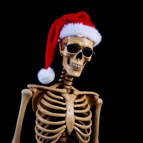 Santa Claus (style) XL + SD 1.5 + F1D by EauDeNoire on Tensor.Art