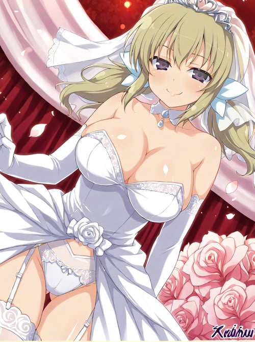 Kafuru [Senran Kagura] by ccbbaaa on Tensor.Art